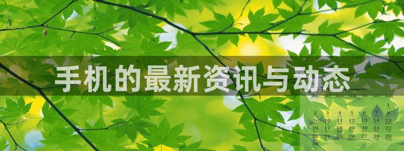 漫蛙漫画网页链接