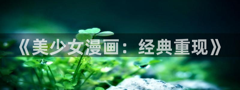漫蛙登录