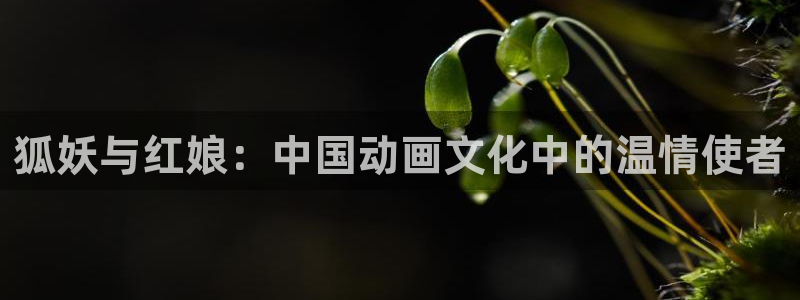 漫蛙manwa2正版下