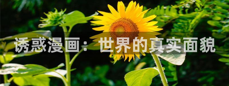 漫蛙ios怎么安装
