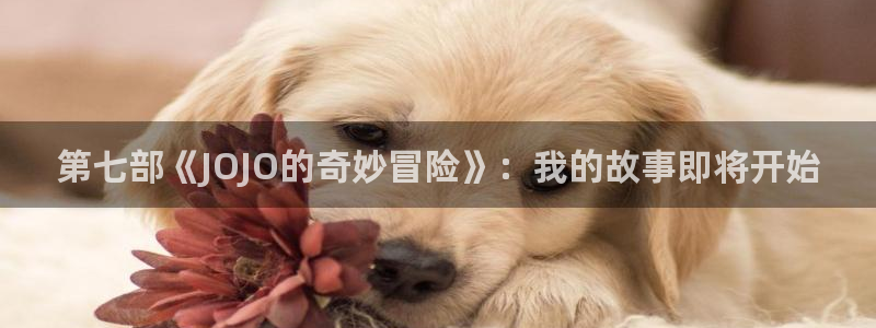 漫蛙manwa防走失站漫画链接