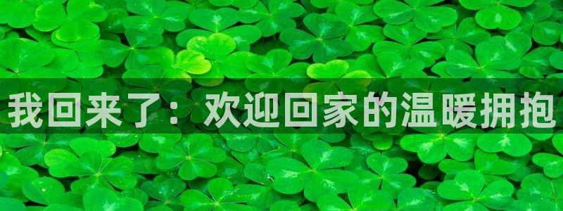 漫蛙邮箱：我回来了：欢迎回家的温暖拥抱