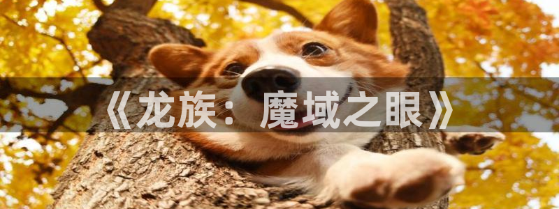 漫蛙manwa官网版的更新速度：《龙族：魔域之眼》