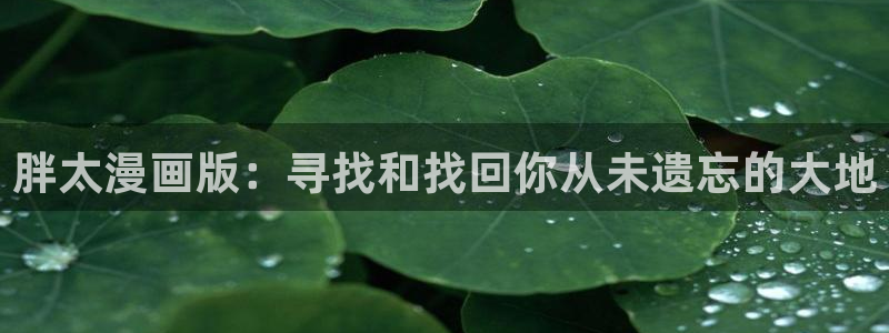 漫蛙2怎么用