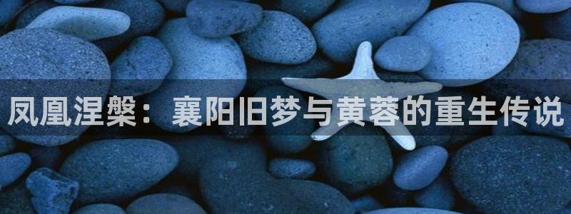 漫蛙网页版入口免登录
