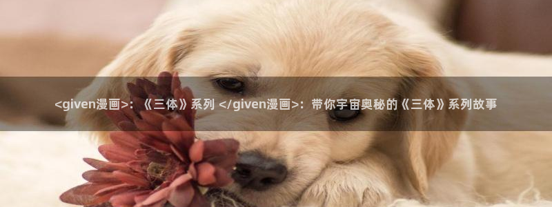 漫蛙2网页入口