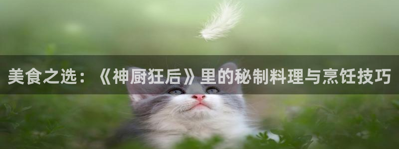 漫蛙app正版官网链接