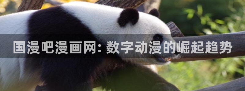 漫蛙漫画最新网址