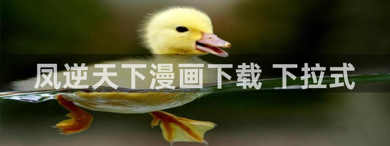 枯萎之花上的眼泪漫蛙