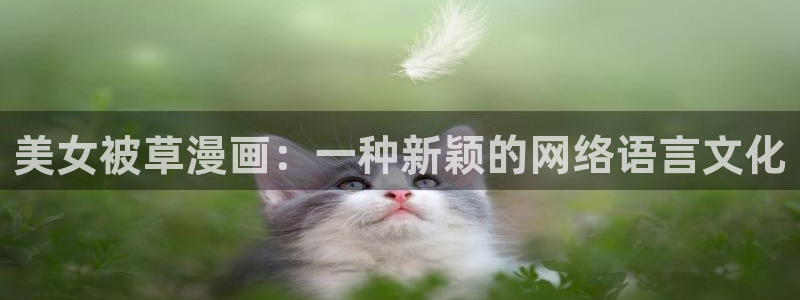 漫蛙下载正版官网
