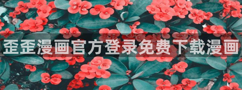 漫蛙漫画网页版manwa官网版