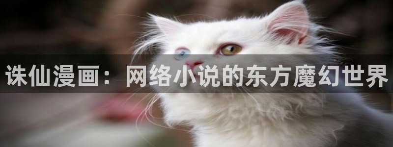 漫蛙是什么东西