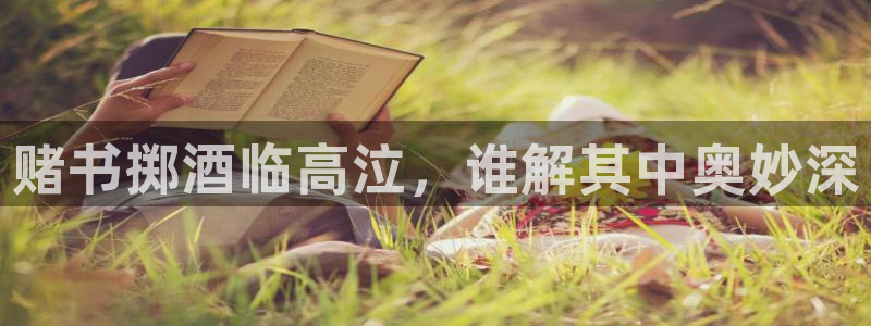 漫蛙2(zh)