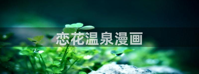 漫蛙漫画官方版正版入口网页免费