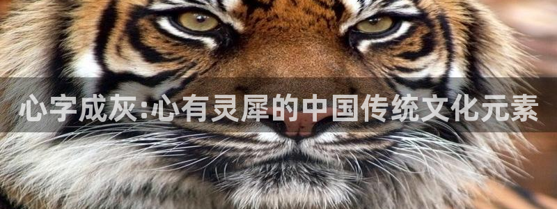 漫蛙2台版入口