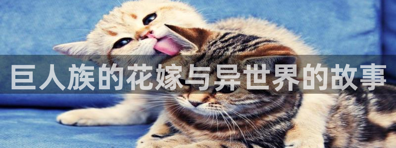 漫蛙漫画网页入口在线观看