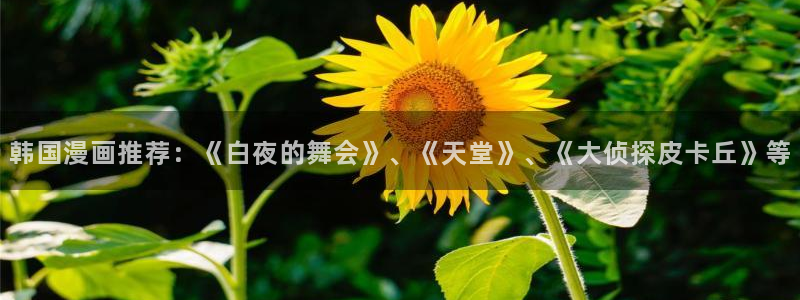 拷贝漫蛙：韩国漫画推荐：《白夜的舞会》、《天堂》、《大侦探皮卡丘》等