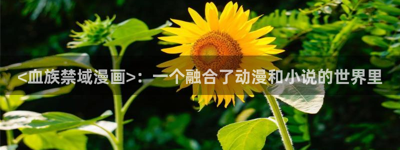 漫蛙防走失官网：<血族禁域漫画>：一个融合了动漫和小说的世界里