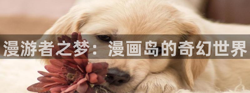 漫蛙manwa漫画官网：漫游者之梦：漫画岛的奇幻世界