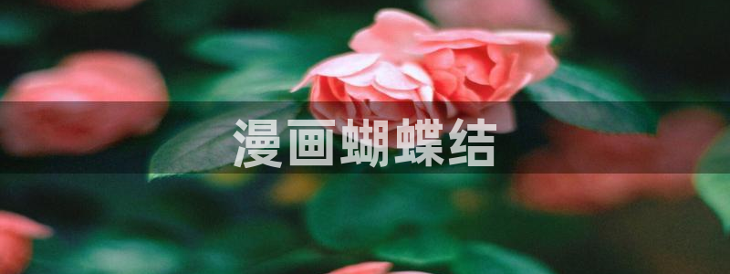 漫蛙直接看漫画入口：漫画蝴蝶结